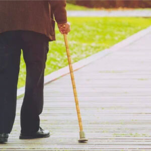 Baston De Movilidad Tipo Canadien Fs937L Foshan